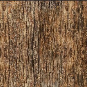 Woodland Retreat by Chong-a Hwang for Timeless Treasures CD3832 Wood Bark Brown sold by the 1/2 yd.
