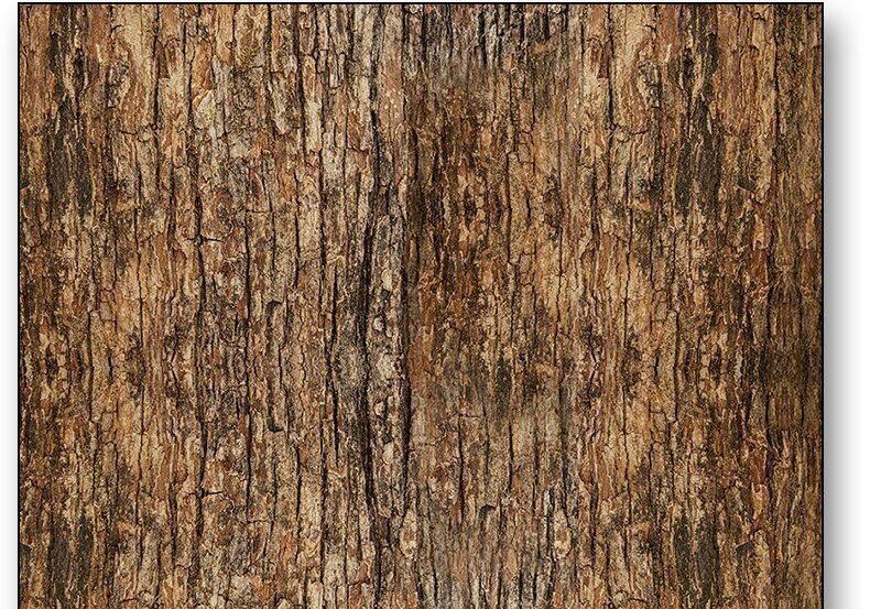 Woodland Retreat by Chong-a Hwang for Timeless Treasures CD3832 Wood Bark Brown sold by the 1/2 yd.