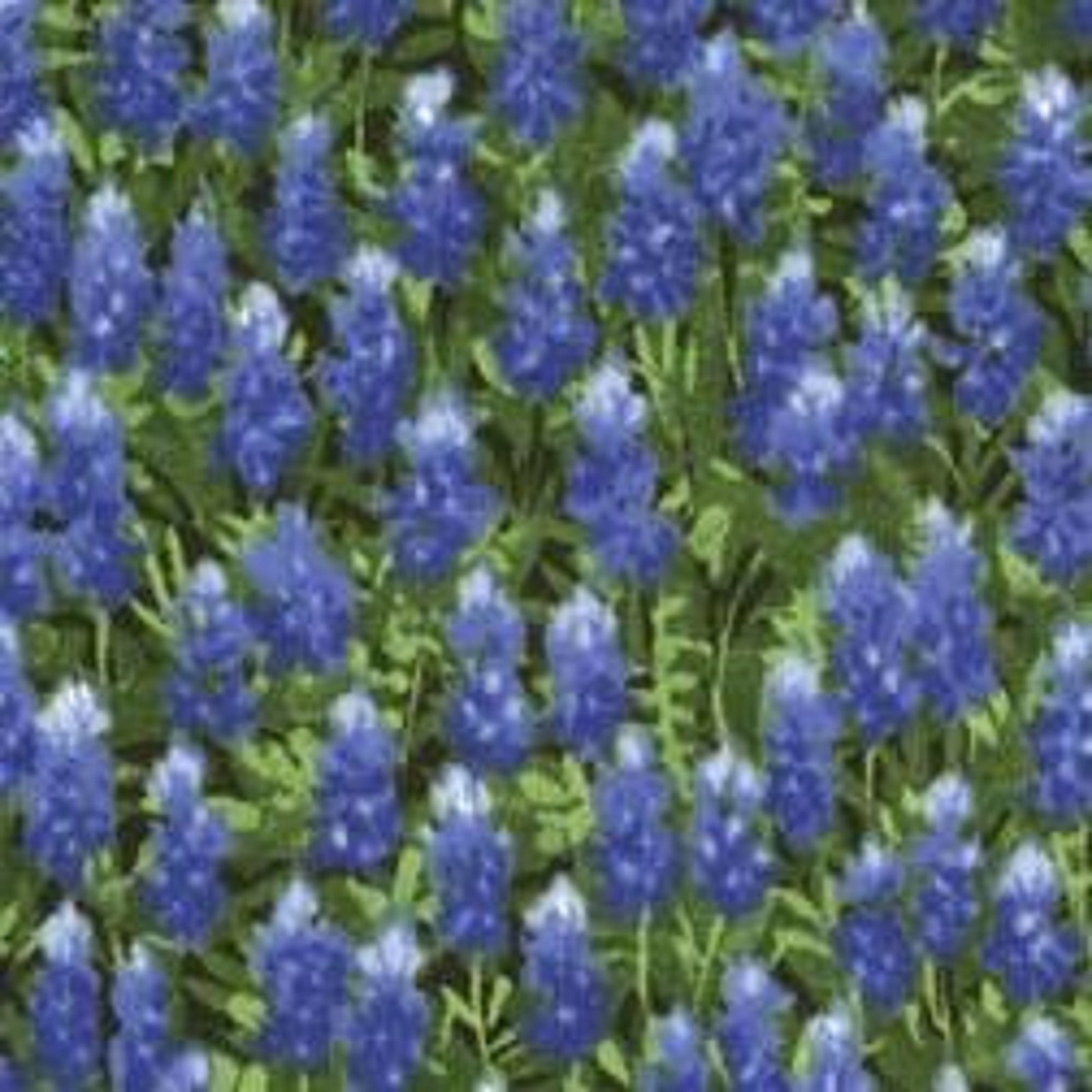 Wildflowers by Moda 32366-11 sold by 1/2 yd