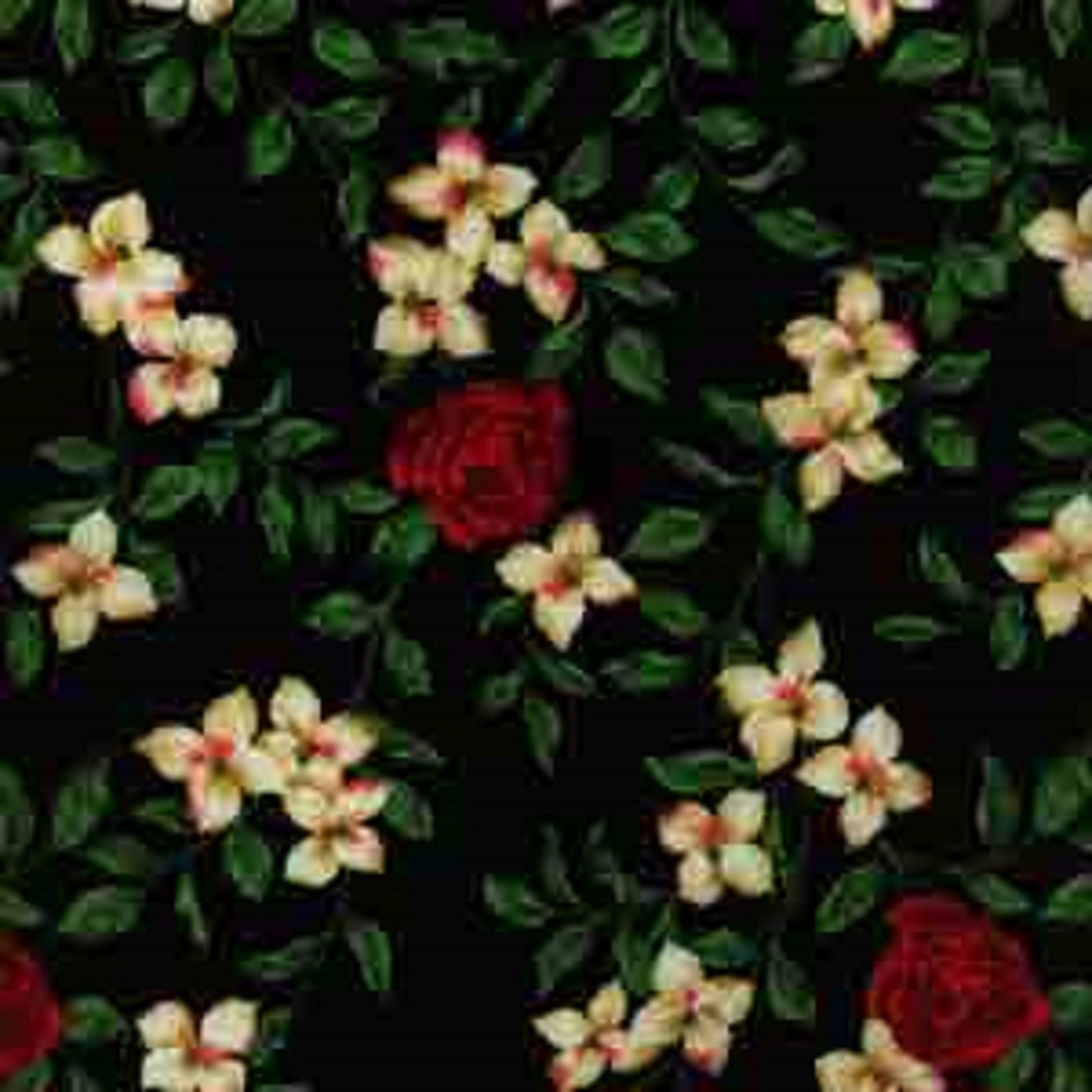 Legacy by RJR Fabrics 168702 black sold by 1/2 yd
