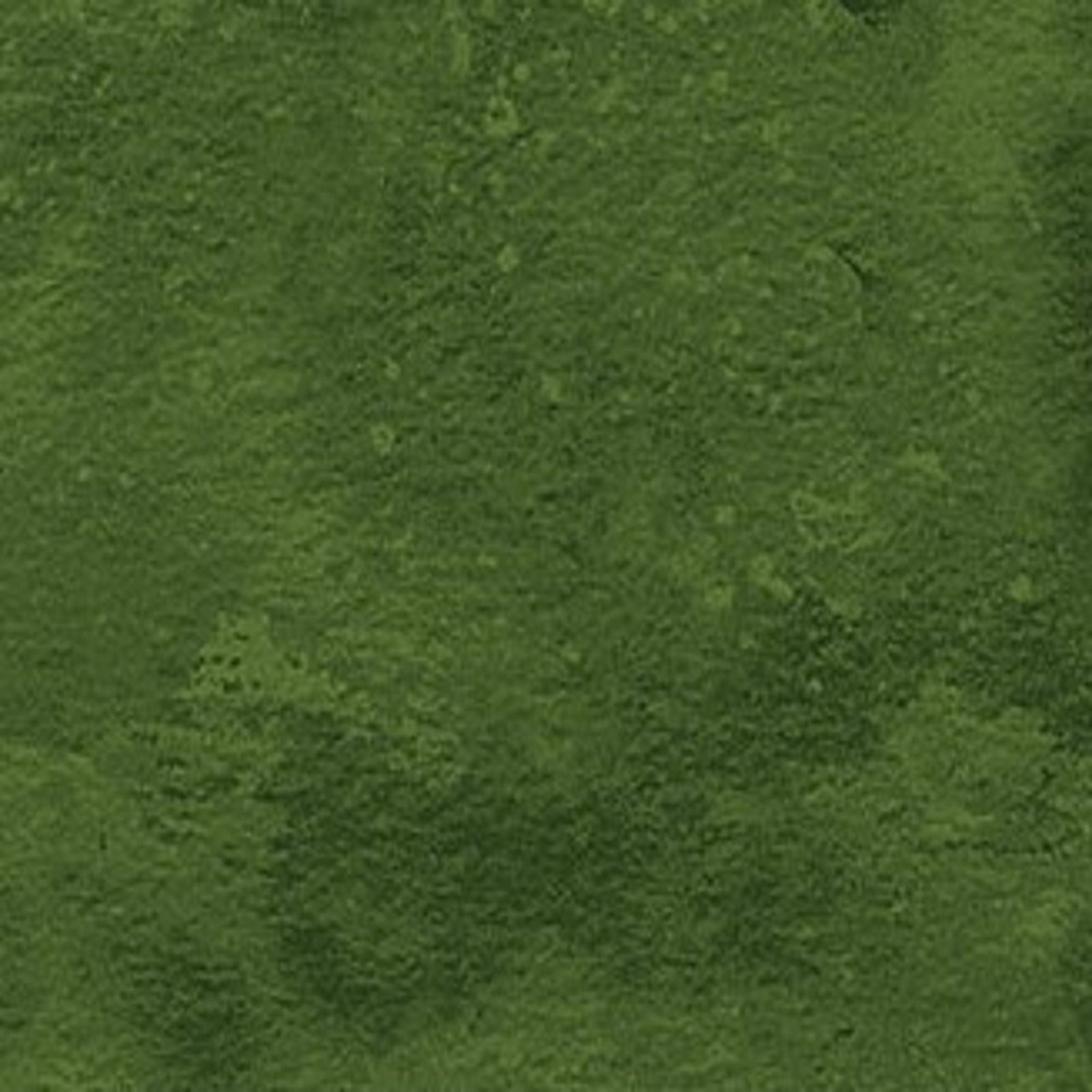 Toscana by Deborah Edwards for Northcott Hemlock 9020-781 1/2 yd remnant