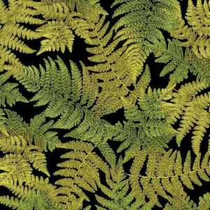 Harvest by Timeless Treasures CM8525 sold by the 1/2 yd.