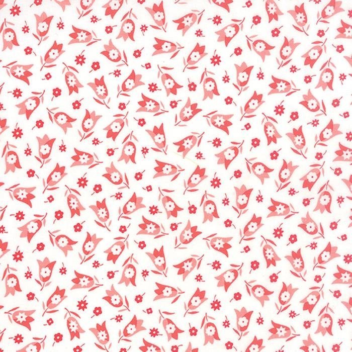 Simply Colorful by Vanessa Christenson for Moda 10847-21 White sold by the 1/2 yd.