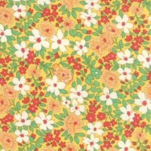 30's Playtime by Chloe's Closet for Moda 33040-12 sold  by the 1/2 yd.