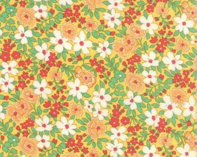 Moda Fabrics
