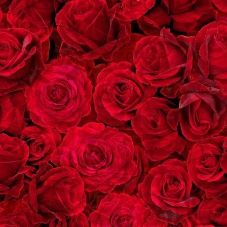 Blossom by Dan Morris for Quilting Treasures 28842-Red sold by the 1/2 yd.