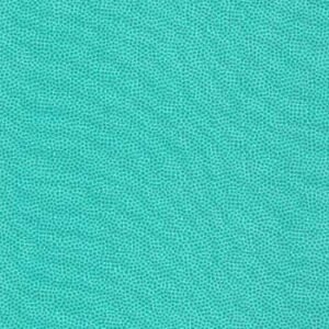 Sprinkles by Kathy Brown for Red Rooster Fabrics RR24453-blu 1/2 yd remnant