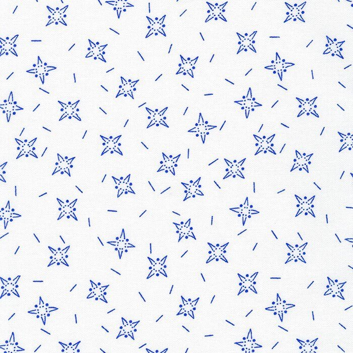 Flowerhouse Jubilee by Debbie Beaves for Robert Kaufman FLH21107-4 Blue 23" remnant