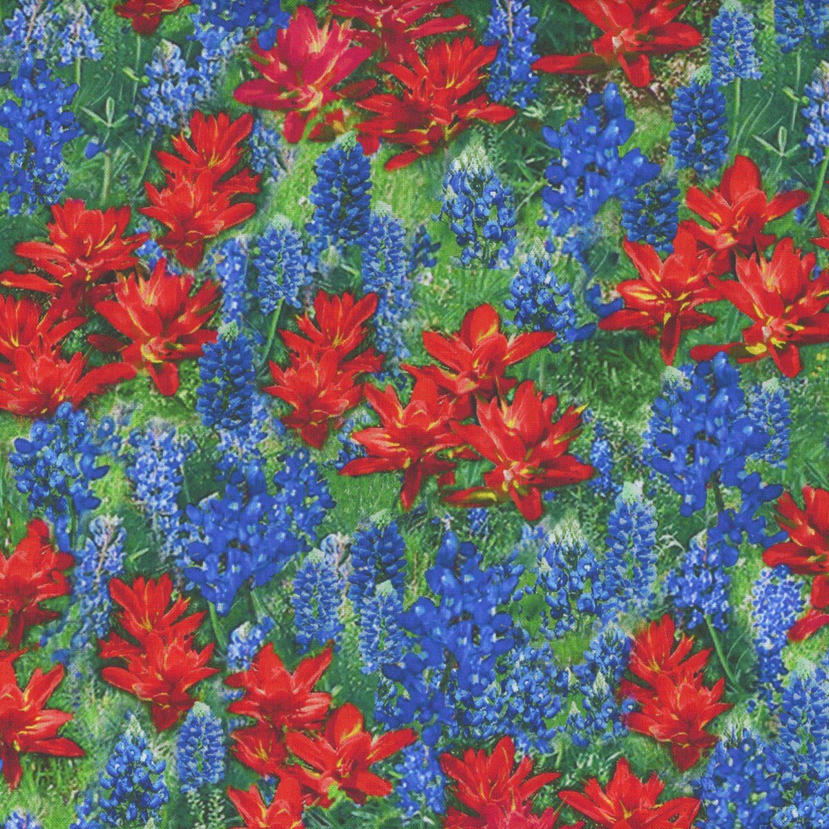 Fleur by Timeless Treasures CD2435 Multi sold by the 1/2 yd.