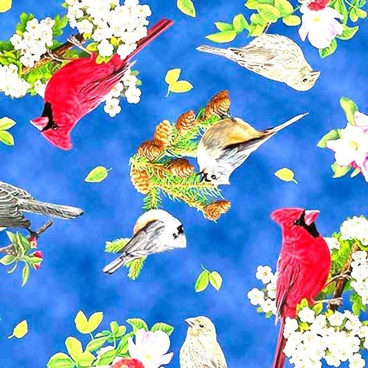 Songs of Nature Songbird Toss by Robert May Quilting Treasures No# sold by the 1/2 yd.