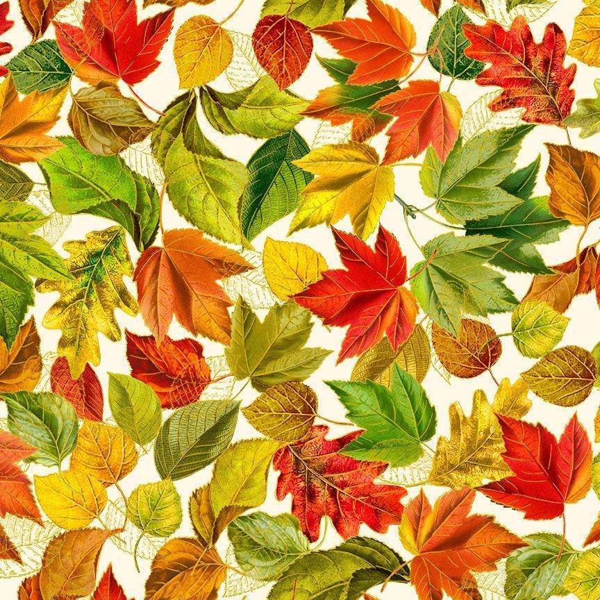 Harvest from Fall is in the Air by Timeless Treasures CM 2803 Cream sold by the 1/2 yd.