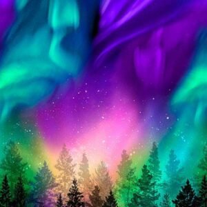 Aurora Panel Northern Lights by Timeless Treasures CD8456 Multi 24"X44"