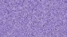 Colorblends by Quilting Treasures 23528-L Wisteria sold by 1/2 yd