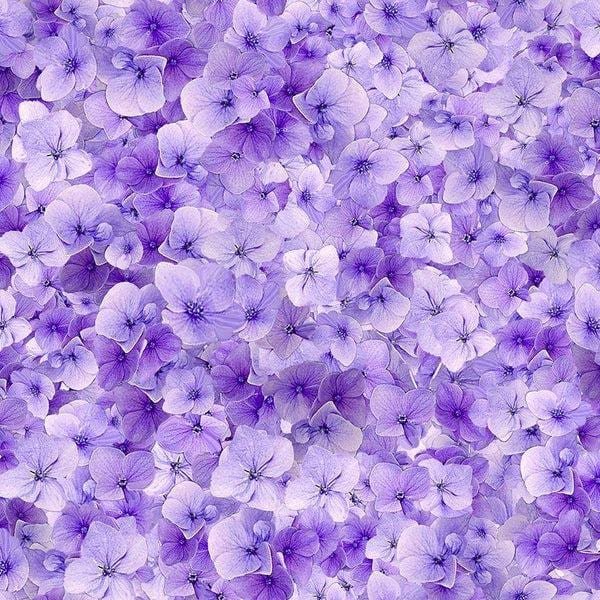 Garden Delight Fleur by Timeless Treasures CD3505 Lilac sold by the 1/2 yd.