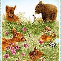 Woodland Greetings Panel by Michael Miller HGYOU4PA 24"X44"