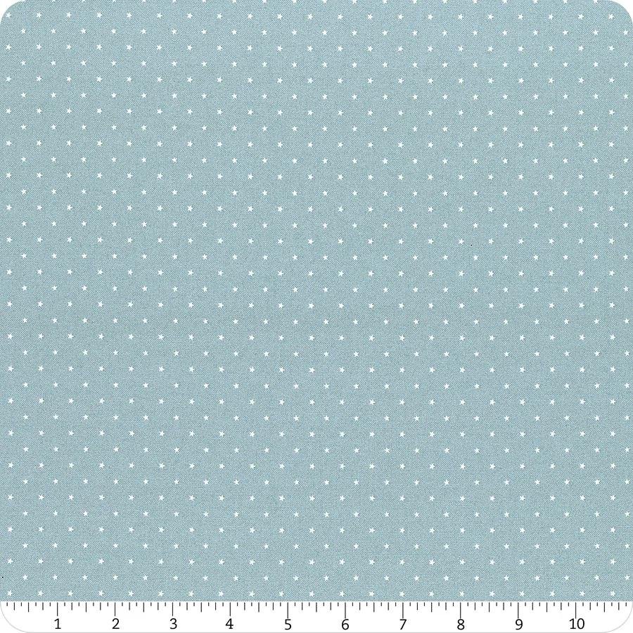 Zinnia Twinkle By Moda Fabrics 24106-69 Lake 1/2 yd. remnant
