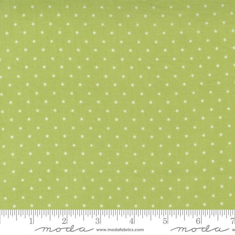 Zinnia Twinkle By Moda Fabrics 24106-54 Sprout 1/2 yard remnant