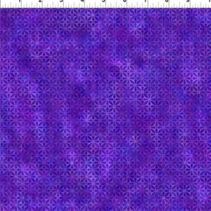 Prism II by Jason Yenter for In The Beginning 28JYQ-2 Purple Screen sold by the 1/2 yd.