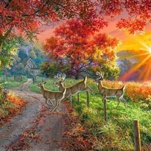 Through The Forest Light Panel by Abraham Hunter for 3 Wishes 35"X44"