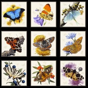 Butterflies & Moths Panel by Elizabeth's Studio 24"X44"