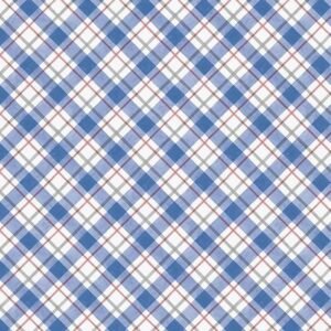 Country Blue Plaid by Susan Winget for Wilmington Prints 39906-149 White/Blue sold by the 1/2 yd.